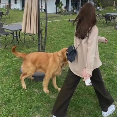 恶魔的耳语